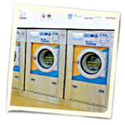 Electrolux Professional